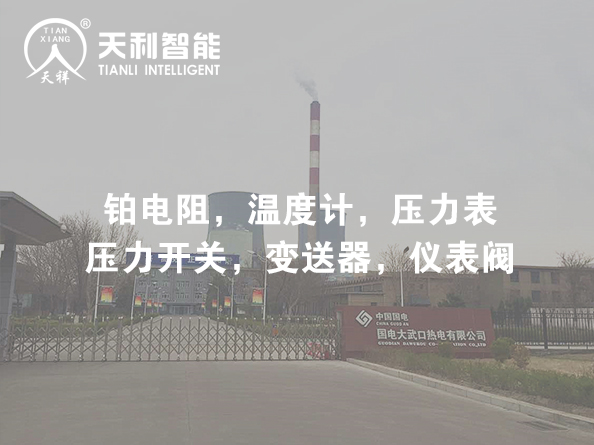 國電大武口熱電有限公司2*350MW熱電聯(lián)產(chǎn)機組擴建