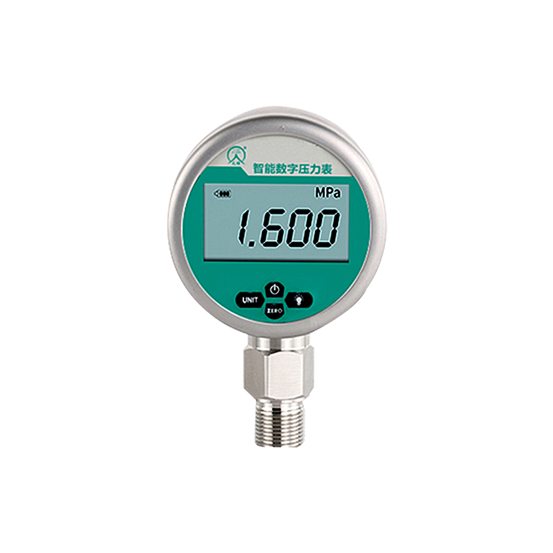 TL-S2數(shù)字壓力表（電池供電）