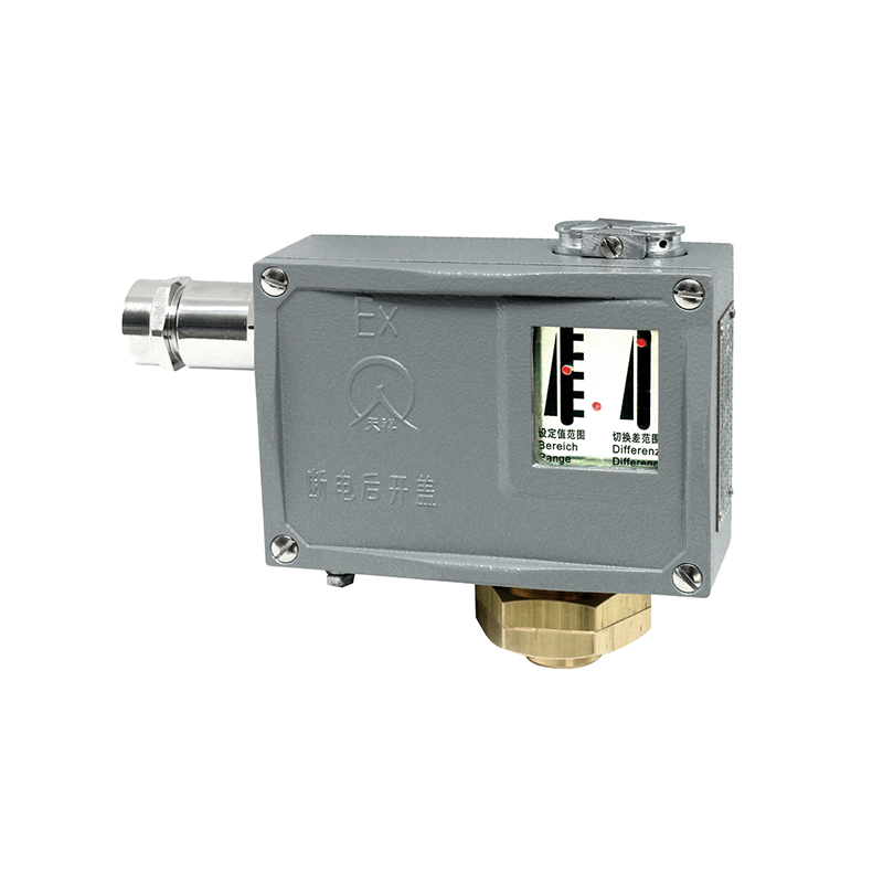 500/7D防爆型壓力開關(guān)/壓力控制器