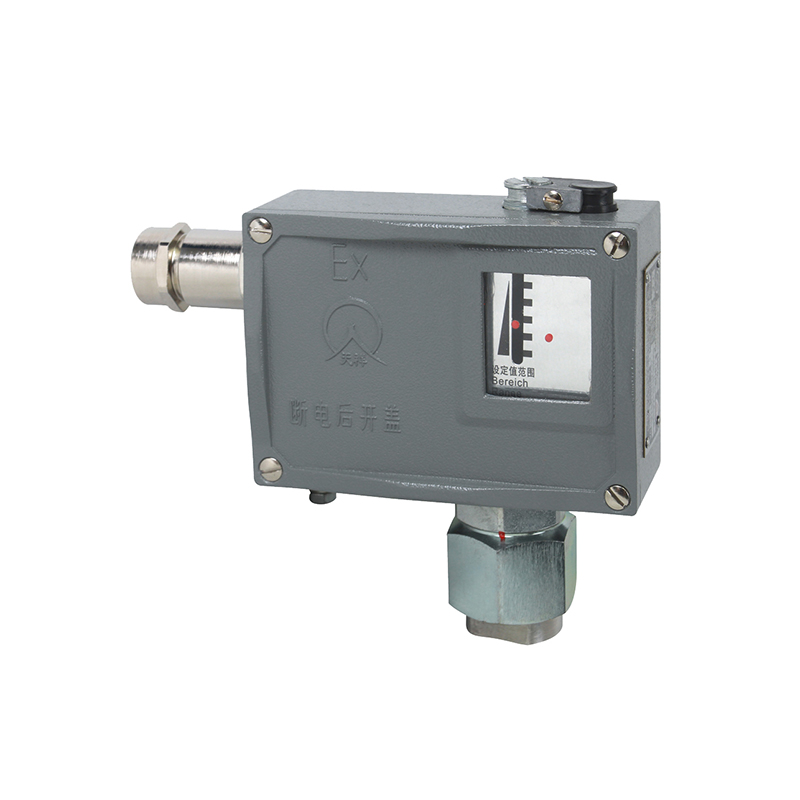 501/7D防爆型壓力開關(guān)/壓力控制器