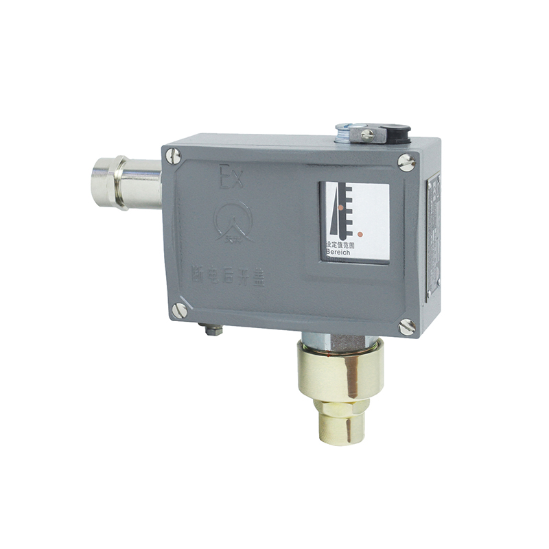 502/7D防爆型壓力開關(guān)/壓力控制器
