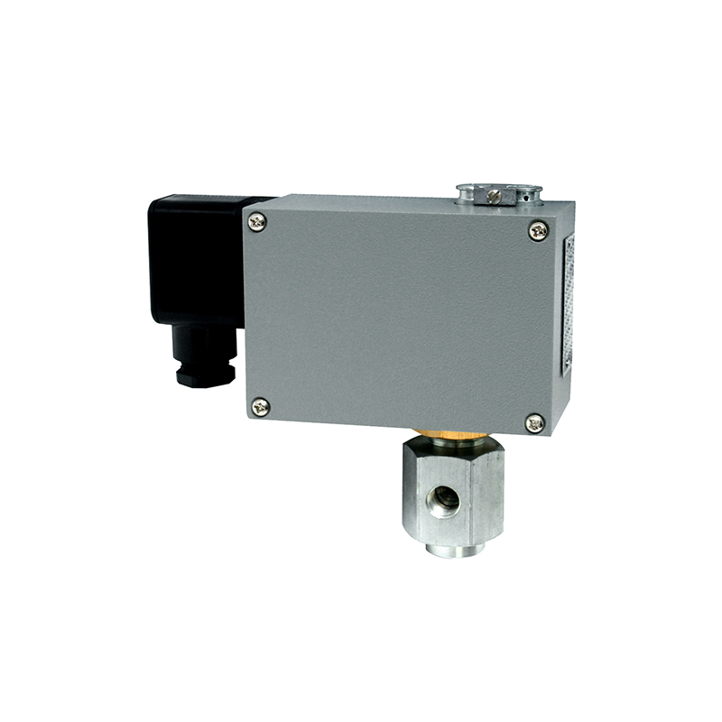 504/7DZ雙觸點(diǎn)壓力開(kāi)關(guān)/壓力控制器