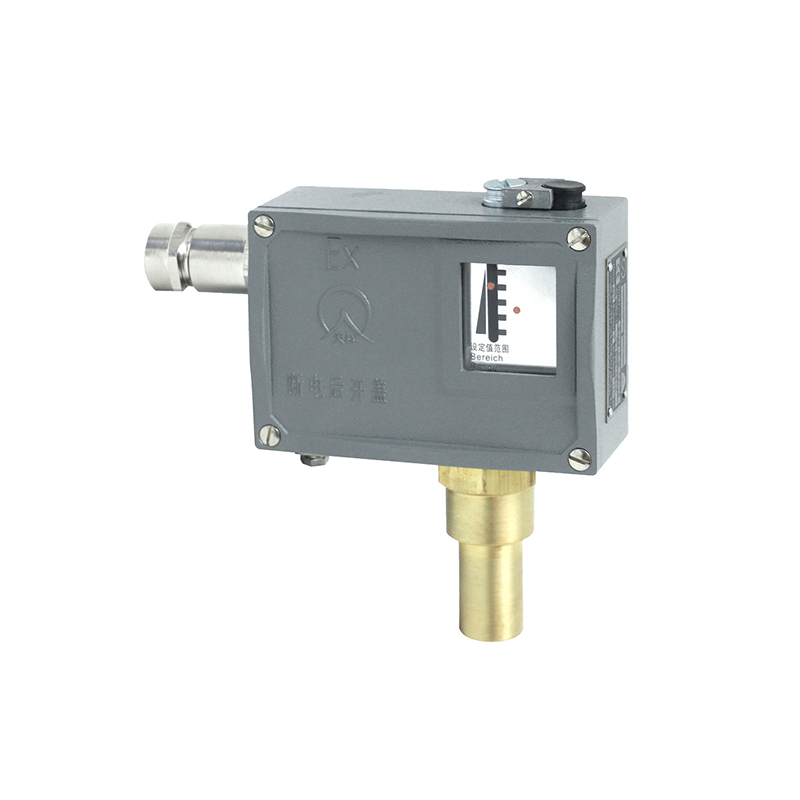 505/7D防爆型壓力開(kāi)關(guān)/壓力控制器