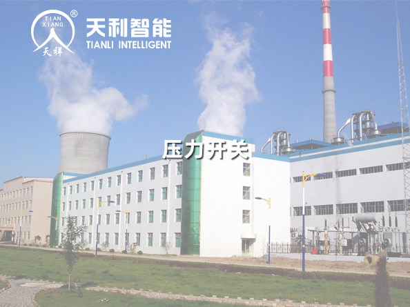 山東魏橋鋁電有限公司長山熱電廠4*330MW機(jī)組